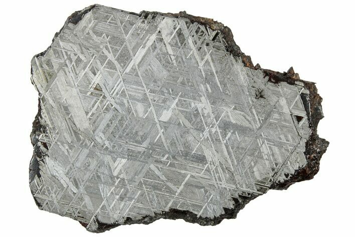 Etched Muonionalusta Meteorite Slice ( g) - Sweden #309797